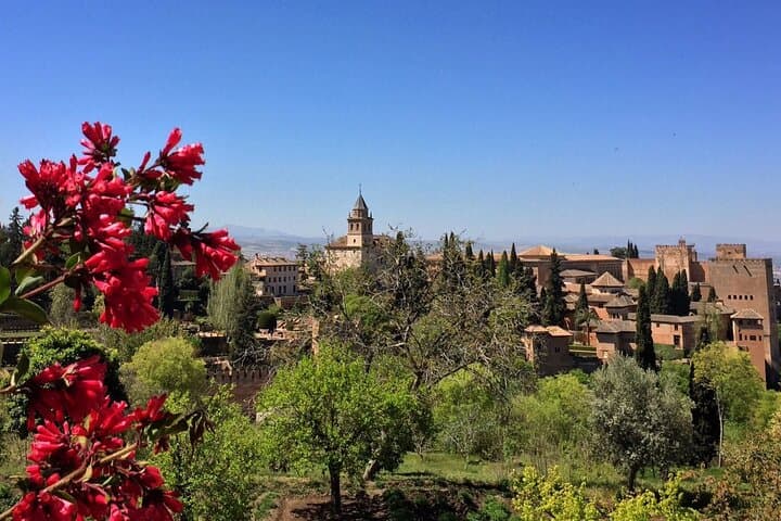 Tour Alhambra and Generalife with audioguide