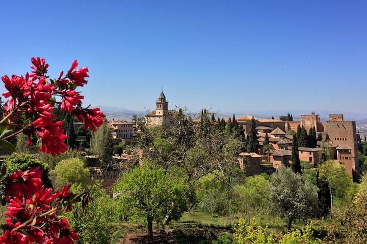 Alhambra Premium Tour