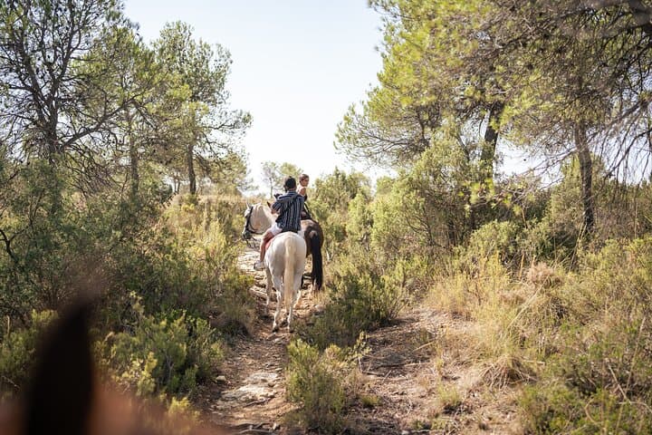 Horseback riding and wine tour (private tour)