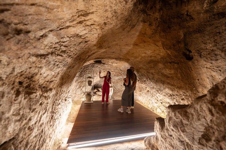 Two wineries tour with wine tasting