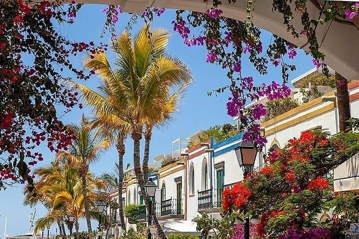 Visit Puerto de Mogan and Its Market with One Way Boat Ride