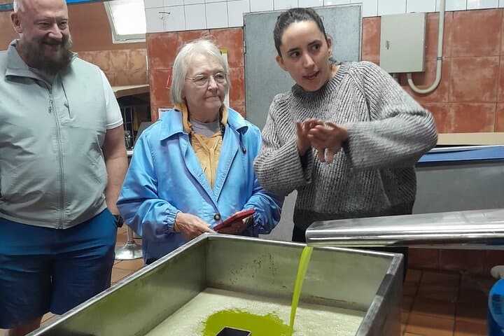 Learn about olive oil making