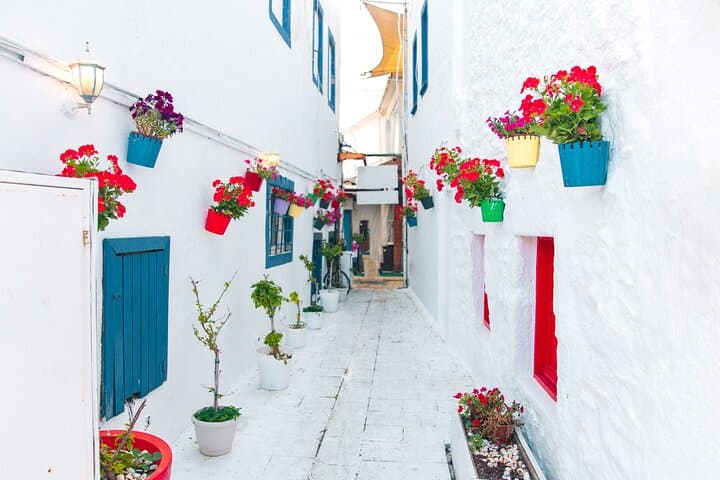 Historic Málaga: A Senior-Friendly Private Walking Tour
