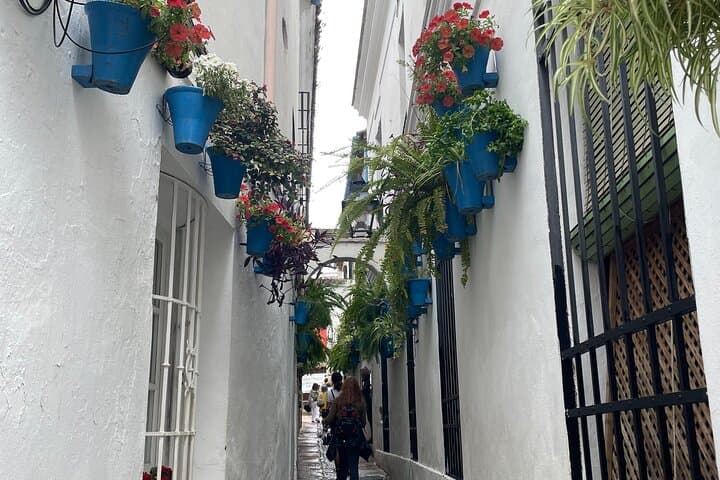 Cordoba Highlights Private Walking Tour