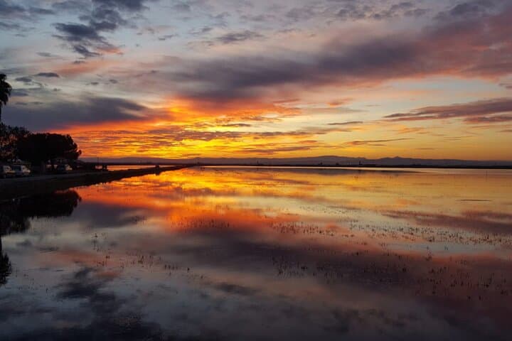 From Valencia: Albufera Boat Ride, Sunset & Paella Included