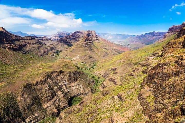 Picos de Gran Canaria by Minibus: Firgas, Teror, Aloe Vera and More