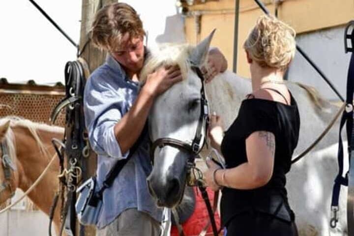 From Barcelona: PRIVATE Horseback Riding and Tapas Picnic