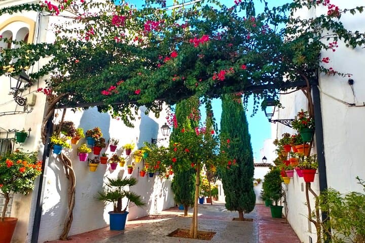 Estepona Private Walking Tour