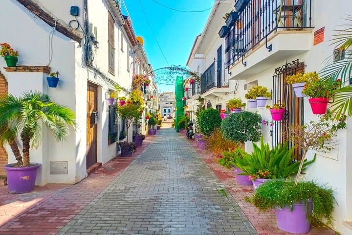 Estepona private trip with hotel or shore pickup from Marbella