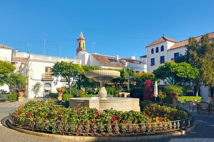 Estepona private trip with hotel or shore pickup from Marbella