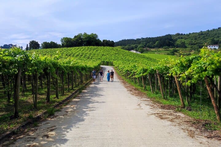 Getting ready for the wine tasting