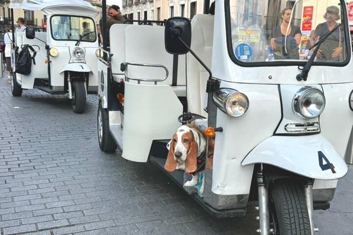 Discover Madrid in a Fun & Eco-Friendly Tuk-Tuk – Private Tour