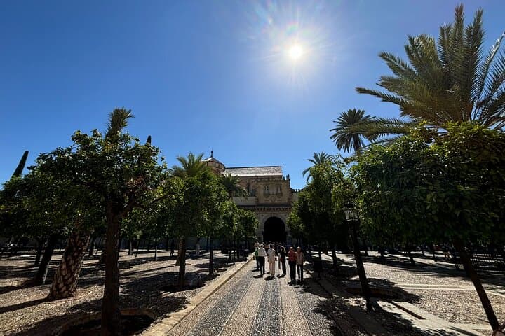 Courtyard of the Orange Trees