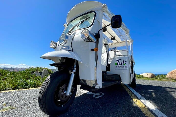 Discover Coruña 1 hour Private Tour in Tuk tuk