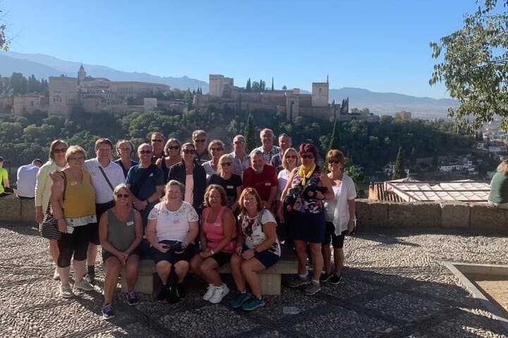 Private group visiting Granada