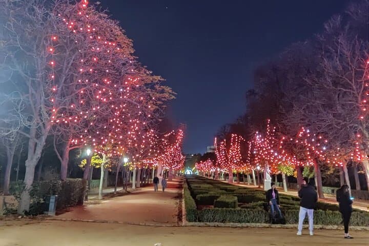Magical Madrid Christmas Lights E Bike Tour