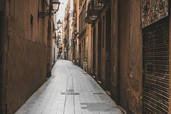 Discover the Gothic Quarter | Walking Tour | 2h