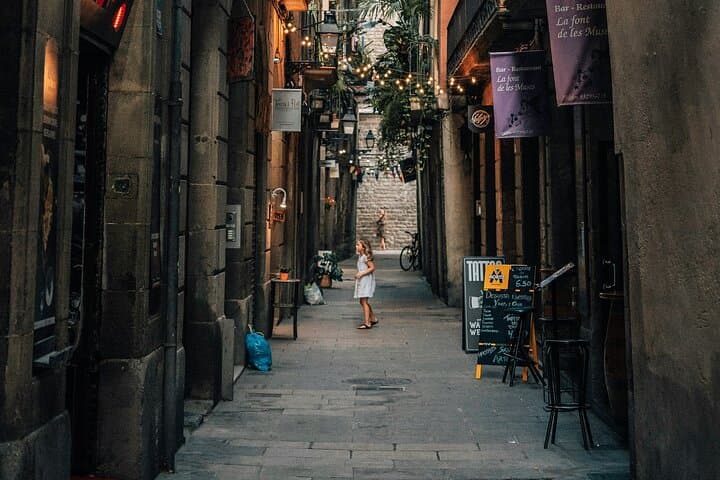 Discover the Gothic Quarter | Walking Tour | 2h