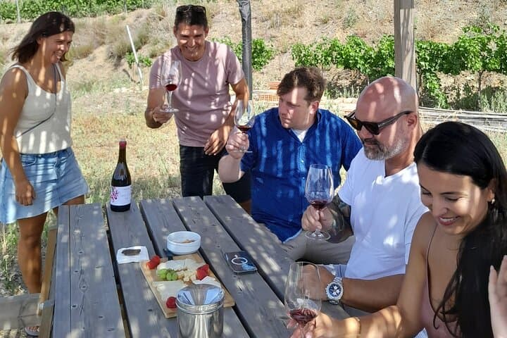 Priorat tour to 3 small wineries and hotel pick-up
