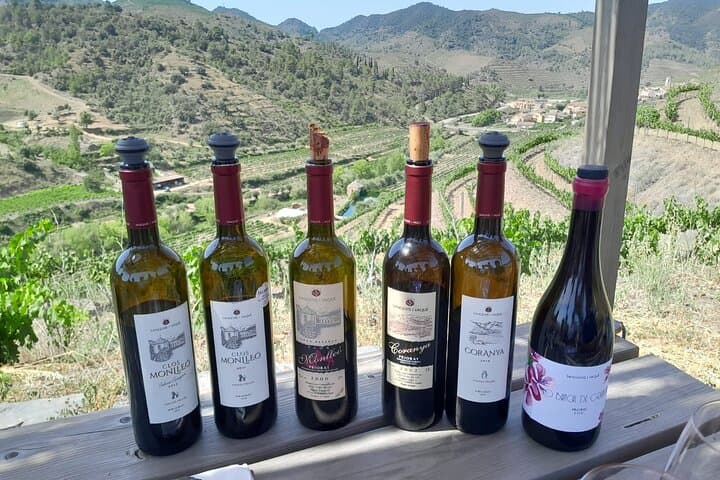 Priorat tour to 3 small wineries and hotel pick-up