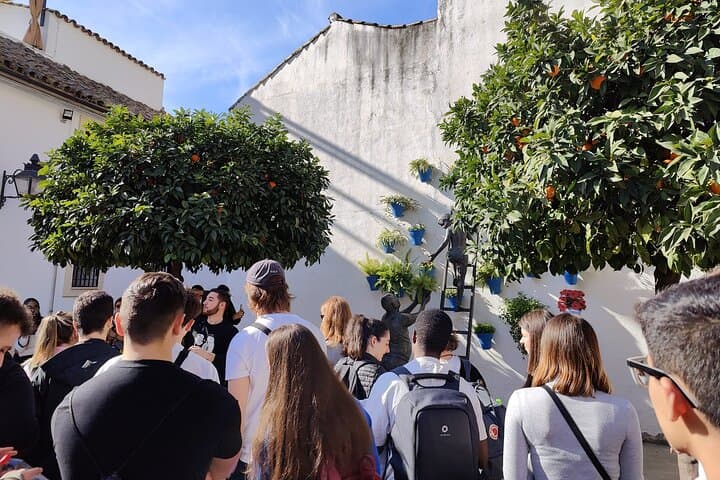 From Seville: Cordoba and Mosque-Cathedral Skip the Line