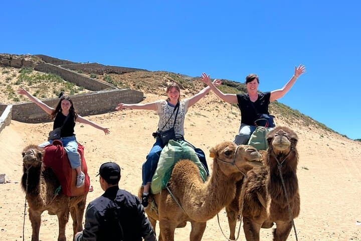 Vip Full Day Private Tangier Tour From Costa De Sol All Inclusive
