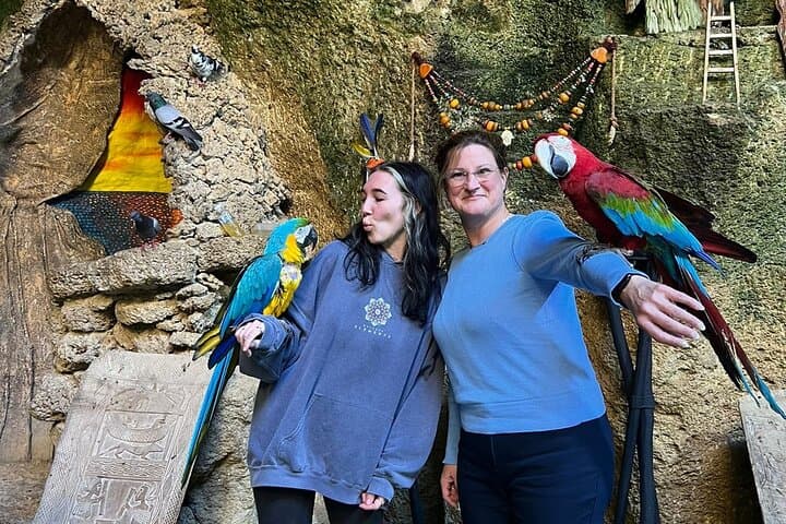 Vip Full Day Private Tangier Tour From Costa De Sol All Inclusive