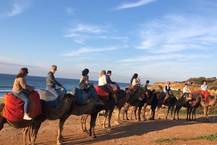 Vip Private Guided Tangier Tour From Malaga / Marbella or Tarifa