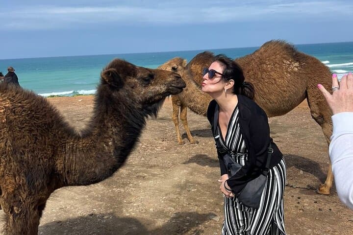 Vip Private Guided Tangier Tour From Malaga / Marbella or Tarifa
