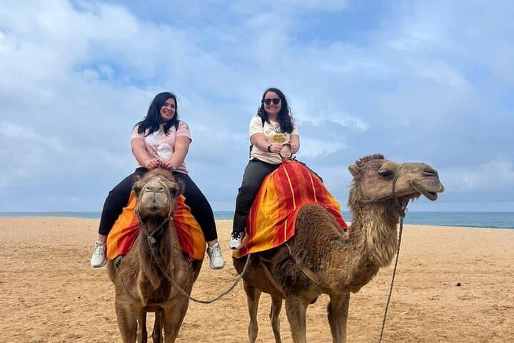 Vip Private Guided Tangier Tour From Malaga / Marbella or Tarifa