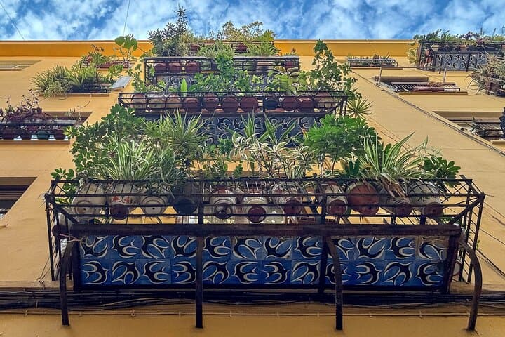 Excellent Private Photography Walking Tour & Workshop in Valencia