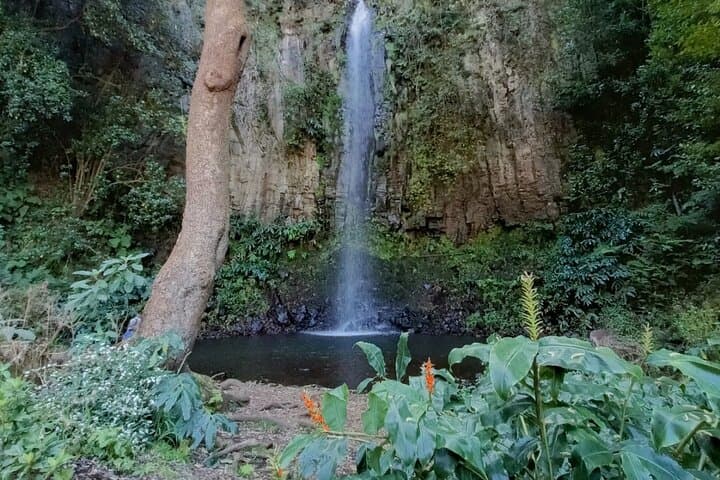 Cascata do alto