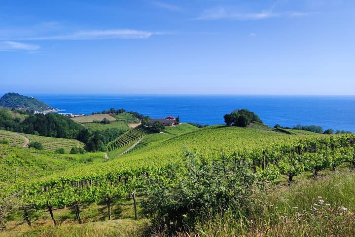 Private Txakoli Wine Tour through the Coast from San Sebastian