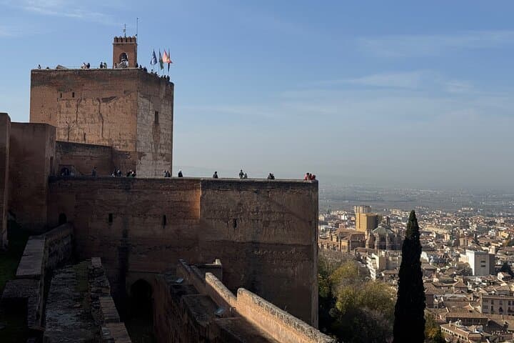 Madrid: Private Tour Discover Granada and La Alhambra