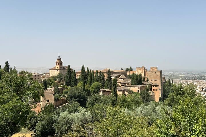 Madrid: Private Tour Discover Granada and La Alhambra