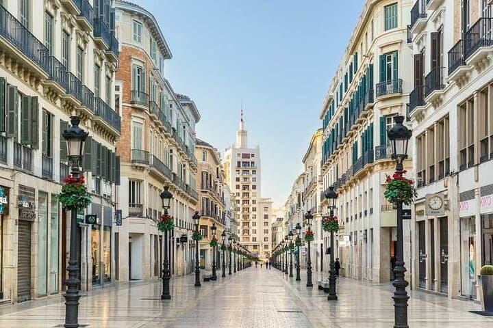 Private Malaga: Alcazaba, Museum, Market, Cathedral & Picasso