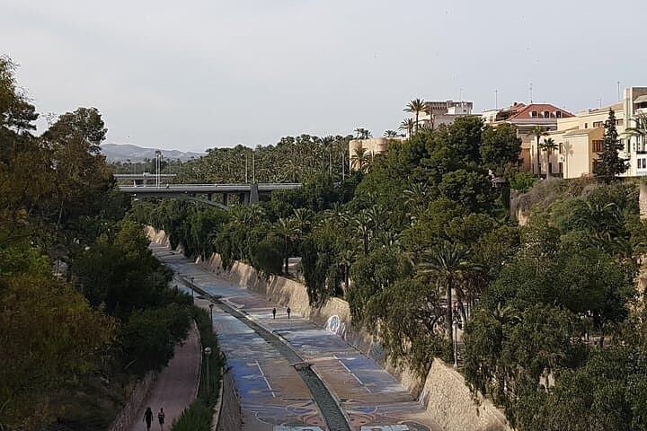 Palm grove of Elche, UNESCO heritage site