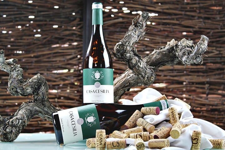 Alicante: Old Winery with Tastings & Arab Castle (XII cent)