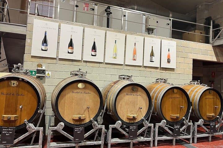Alicante: Old Winery with Tastings & Arab Castle (XII cent)