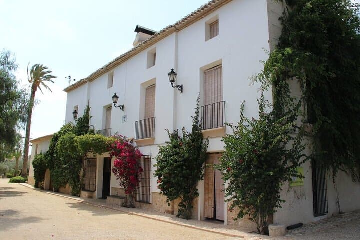 Alicante: Old Winery with Tastings & Arab Castle (XII cent)