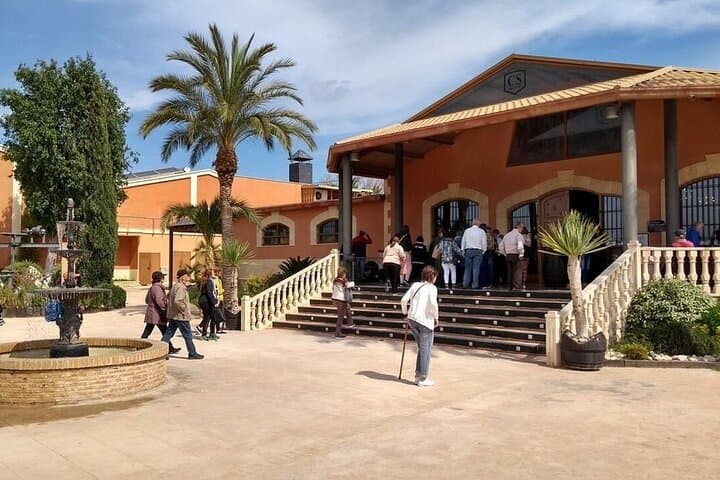 Alicante: Old Winery with Tastings & Arab Castle (XII cent)