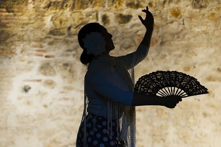 Seville Flamenco EBike Tour and Flamenco Show
