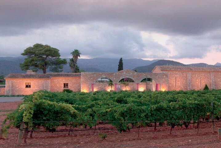 Wonders and Wines of Mallorca Private Experience