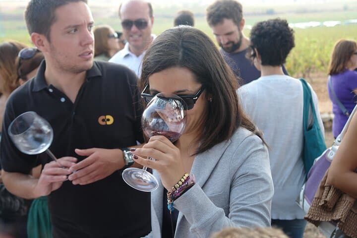Valencia Vineyard Tour with Wine Tasting, Cava and Snacks