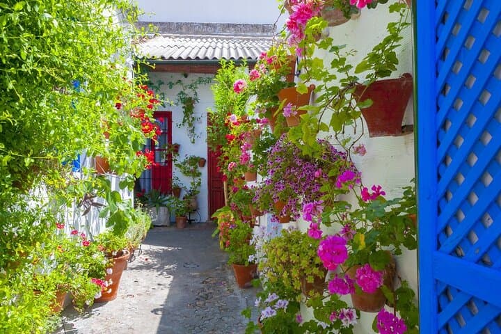 5-Day tour to Andalucia from Costa del Sol