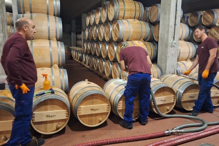 Rioja Full Experience Tour from San Sebastian with Lunch