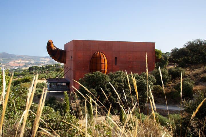 Oil Tasting in Ronda : Almazara El Toro
