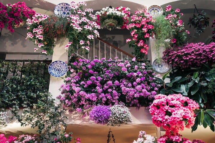 Private tour in Cordoba w/ hotel or shore pickup at Costa del Sol
