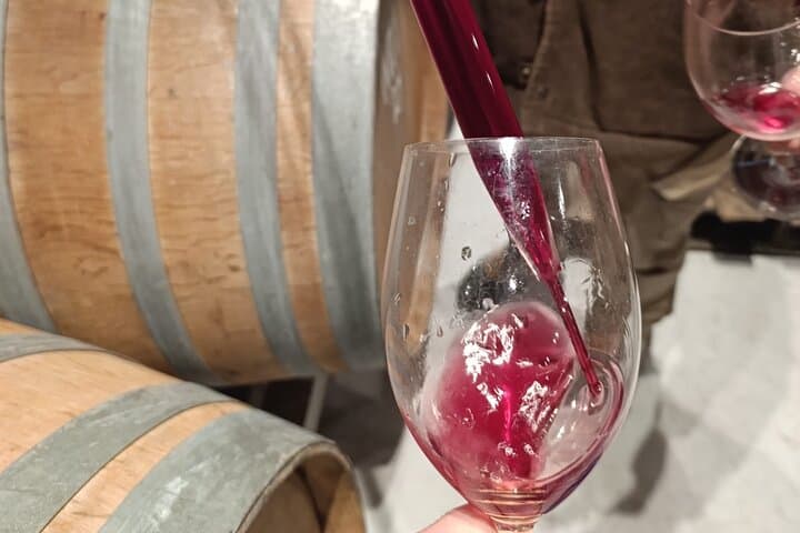 Madrid Wine Tour with Winery Visit & Wine Tasting