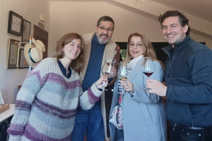 Madrid Wine Tour with Winery Visit & Wine Tasting